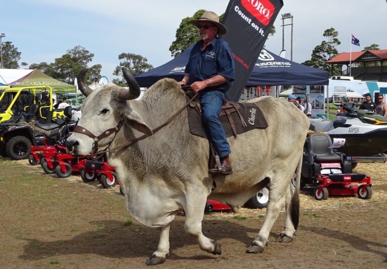 Berry Small Farm Field Days: Bigger and better than ever Berry Small Farm Field Days: Bigger and better than ever