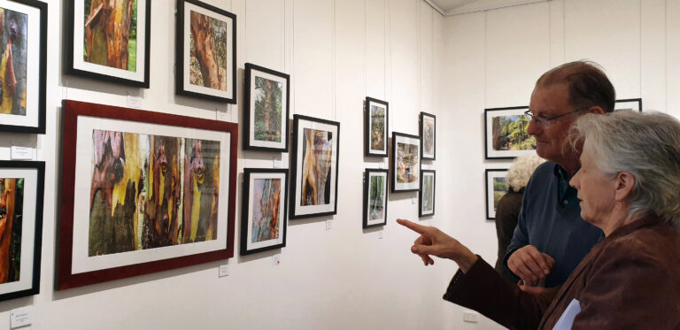 Exhibition a success in spite of the cold