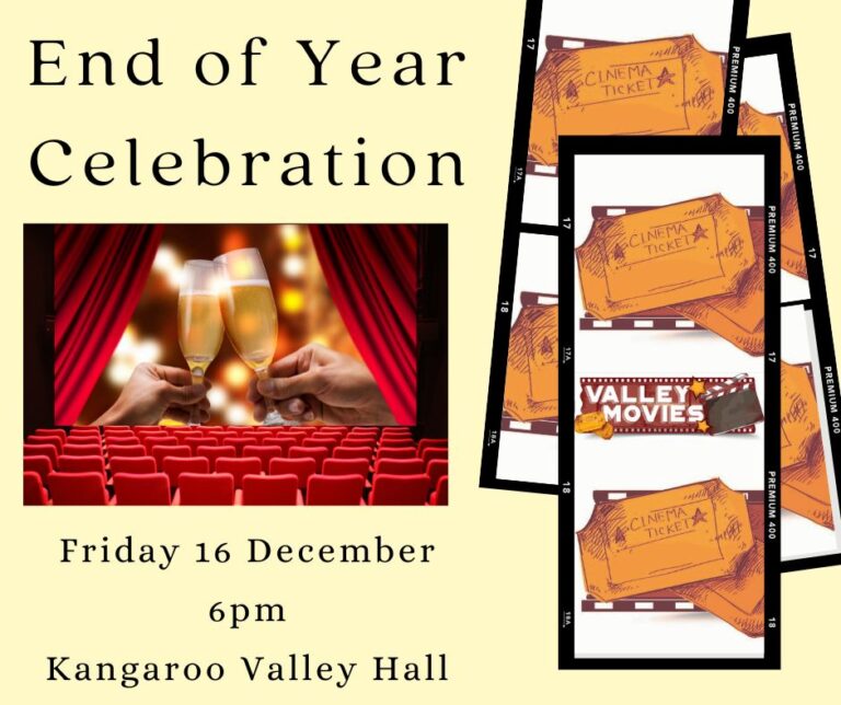 Valley Movies End of year celebration