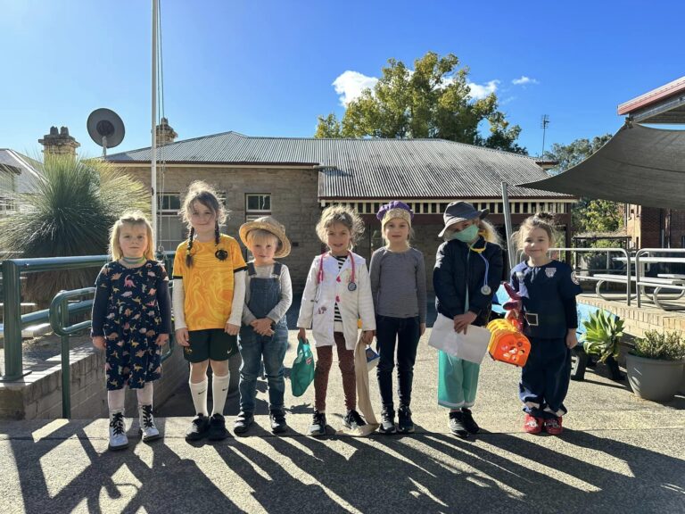 Kangaroo Valley Public School