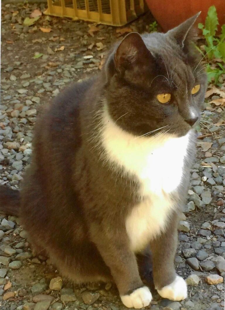 Farewell Skeeter