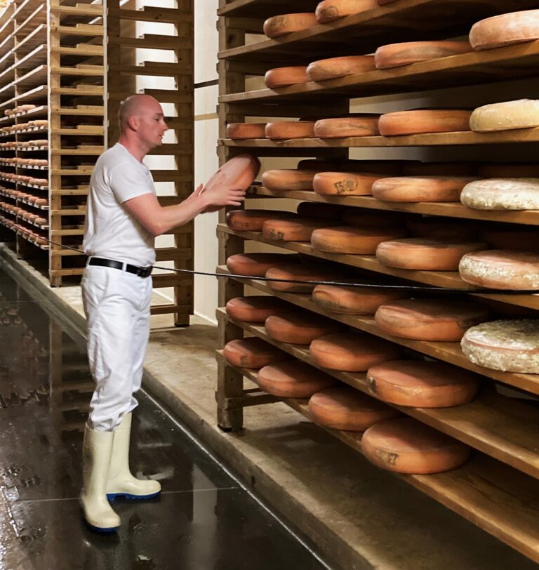 Discovering the art of French cheesemaking